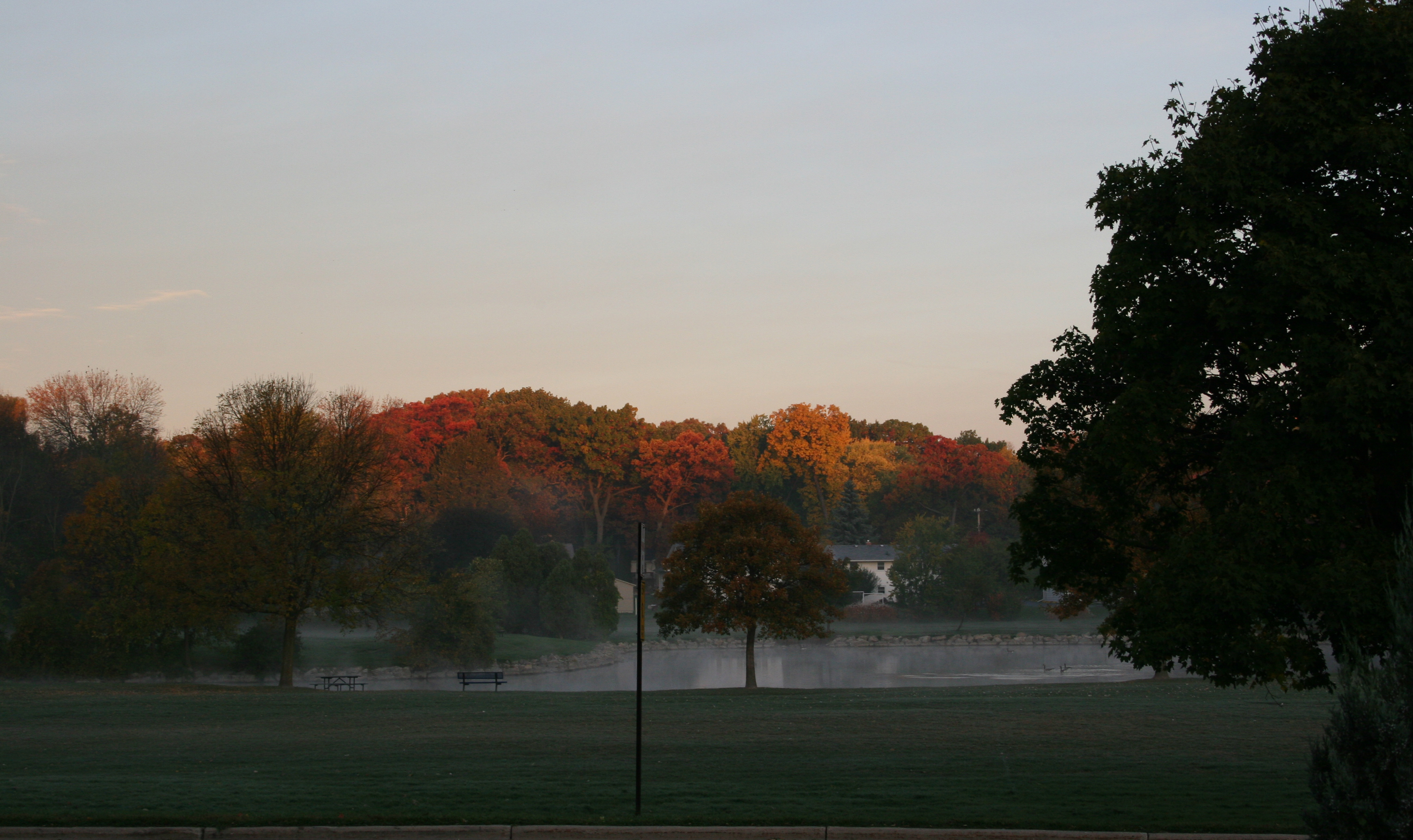 photo of dawn light on autumn suburban trees
